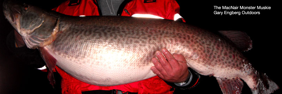 The MacNair Monster Muskie by Gary Engberg.