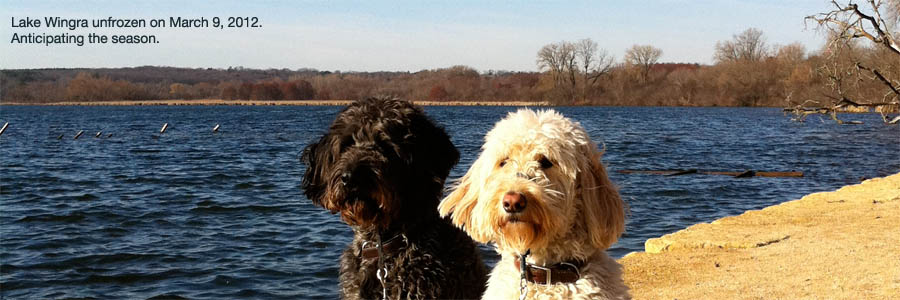 Jack and Elsa on the shore of Lake Wingra.